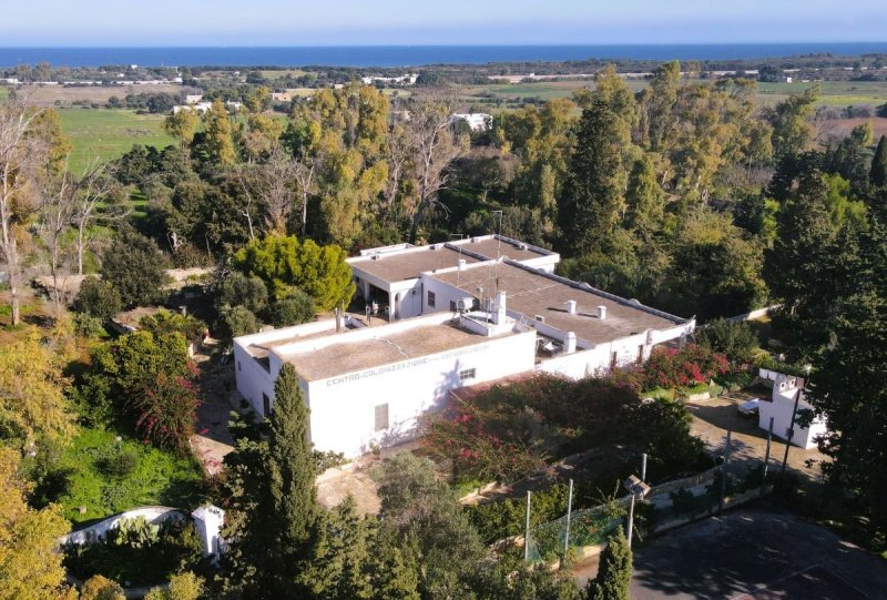 Masseria a Carovigno